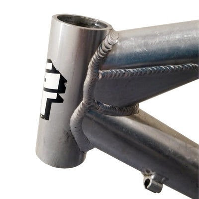 1999 Gt Avalanche LE Bike Frame | Size 20in
